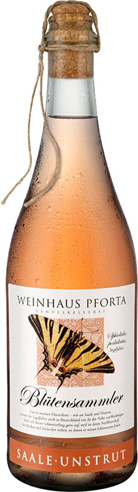 Blütensammler - Secco Rosé - fruchtig