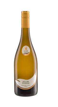 Müller-Thurgau trocken "Radebeuler Lößnitz"